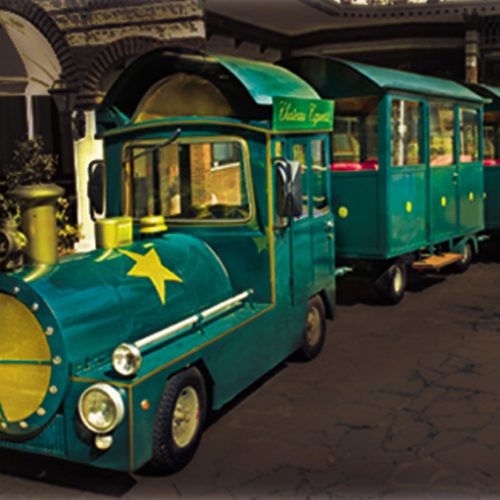 servizi-trenino servizi-trenino